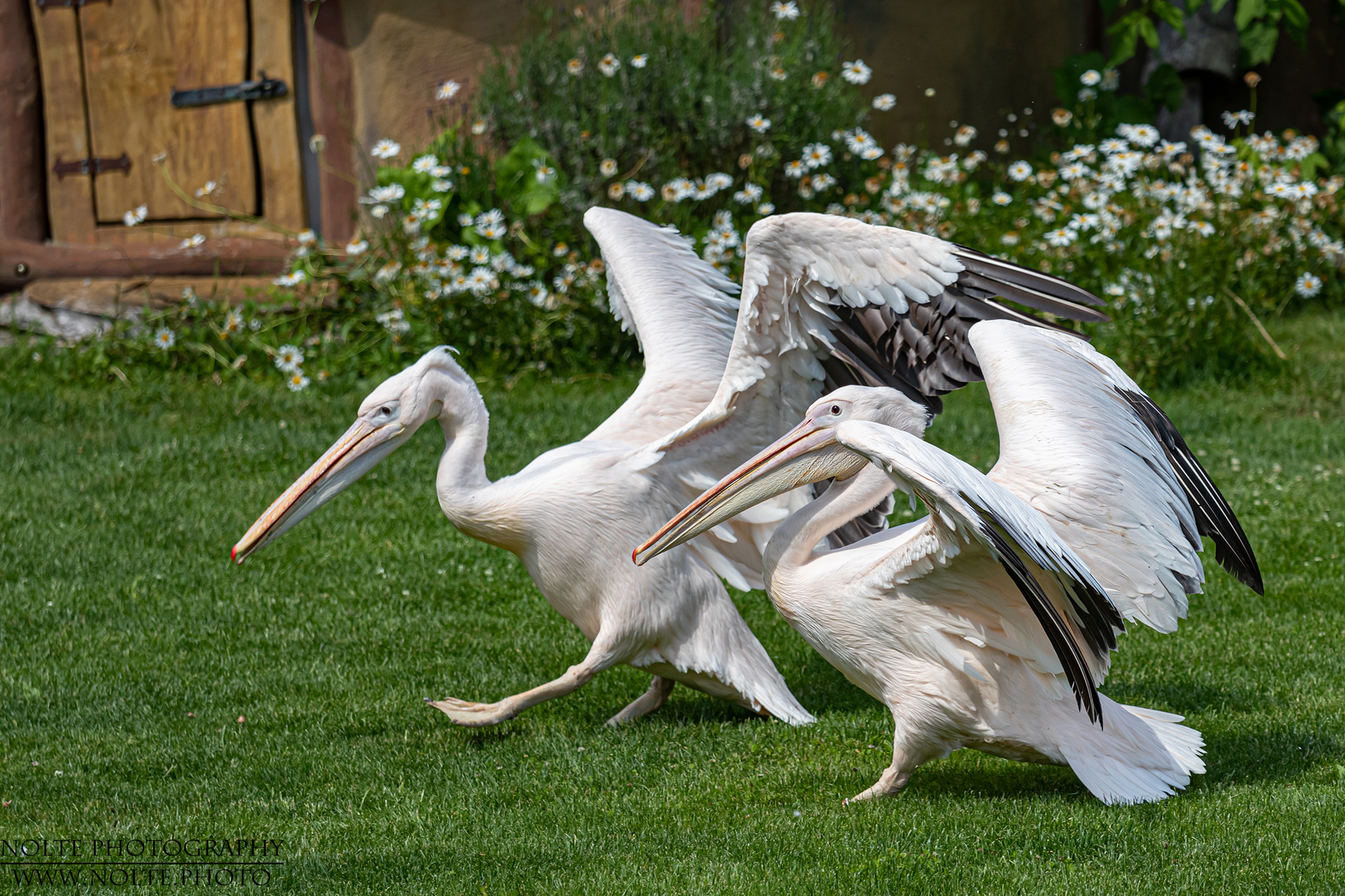 Gemeinsamer Spaziergang